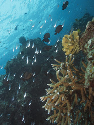 Similar image 13192390