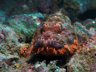 Similar image 13192391