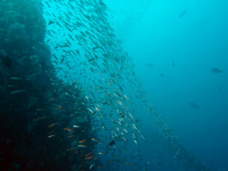 Similar image 13192392