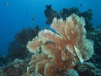 Similar image 13192393