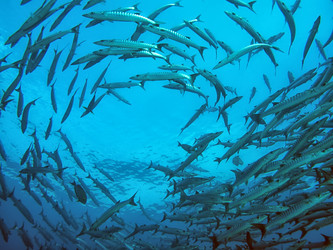 Similar image 13192394