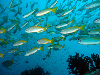 Similar image 13192395