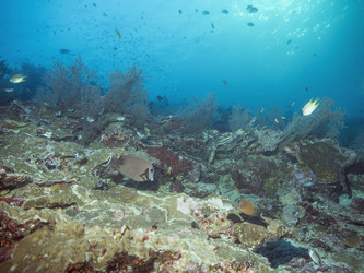 Similar image 13192396