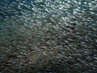 Similar image 13192409