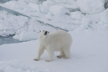 Similar image 13214141