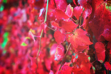 Similar image 13215996