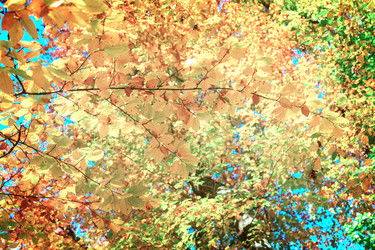 Similar image 13216018