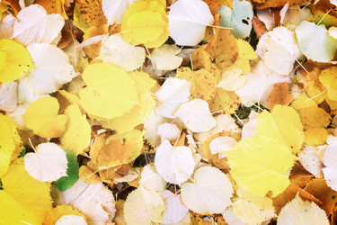 Similar image 13216038