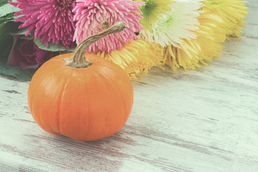 Similar image 13216775