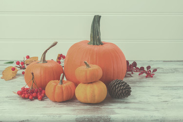 Similar image 13216929