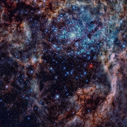 Similar image 13198094