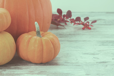 Similar image 13216954