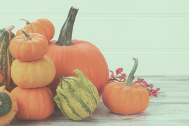 Similar image 13216955