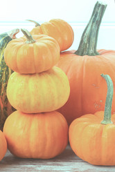 Similar image 13216975