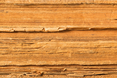 Similar image 13192987