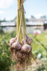 Similar image 13192988