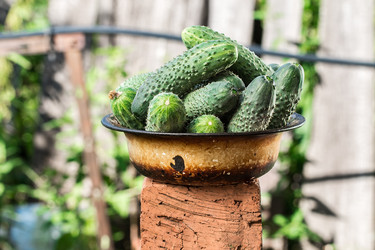 Similar image 13192990