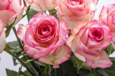 Similar image 13192995