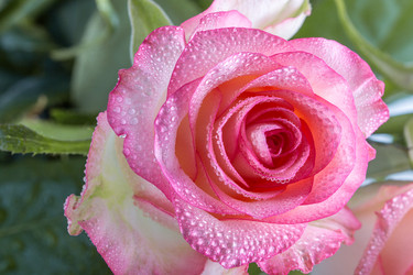 Similar image 13192996