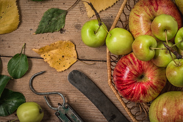 Similar image 13192935