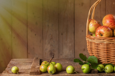 Similar image 13192950