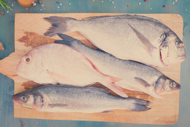 Similar image 13215531