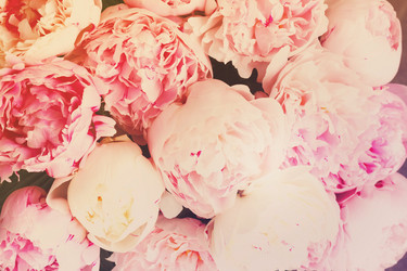 Similar image 13215658