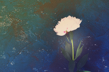 Similar image 13215659