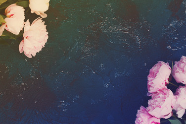 Similar image 13215676