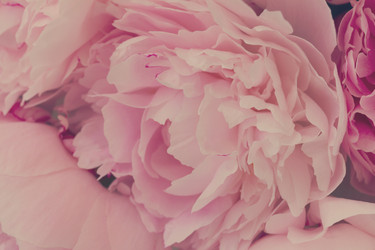 Similar image 13215678