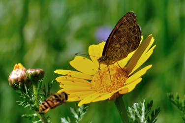 Similar image 13193779