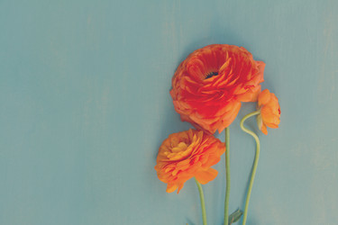 Similar image 13215893