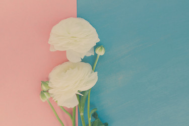 Similar image 13215997