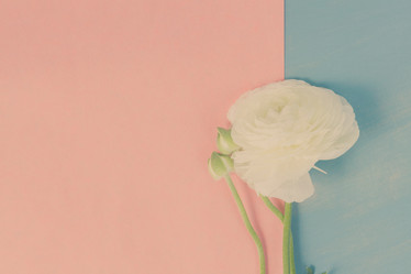 Similar image 13215998