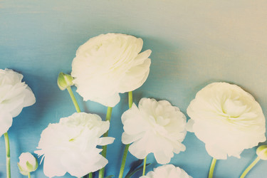 Similar image 13216019