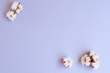 Similar image 13215532