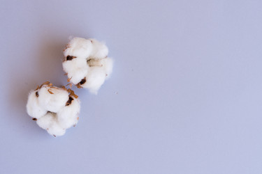 Similar image 13215533