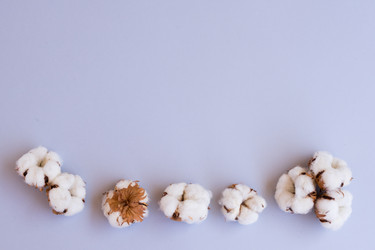 Similar image 13215578