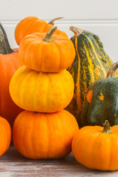 Similar image 13215933