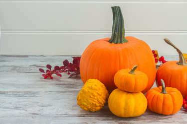 Similar image 13215935