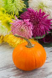 Similar image 13215959