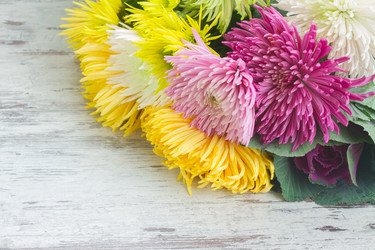 Similar image 13216095