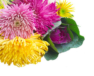 Similar image 13216132