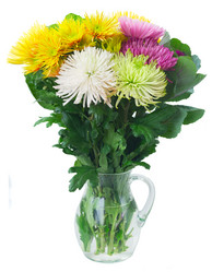 Similar image 13216134