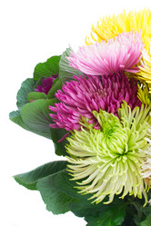 Similar image 13216135