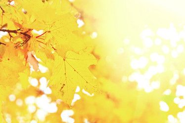 Similar image 13216151