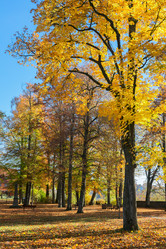 Similar image 13216347