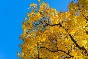 Similar image 13216430