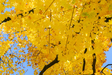 Similar image 13216447