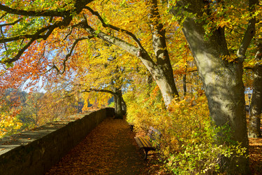 Similar image 13216448